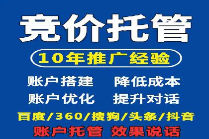 创新驱动：SEM竞价优化的多维度案例分析